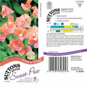 Sweet Pea Prince of Orange